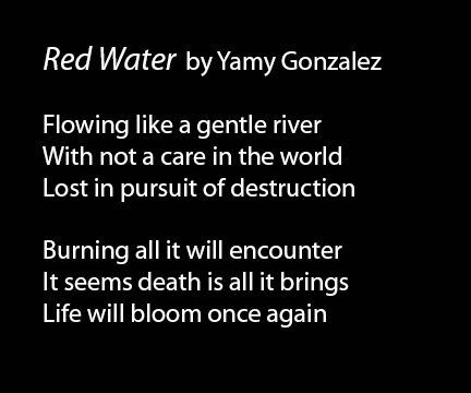 02 Yamy Gonzalez Red Water